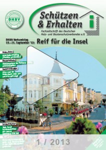 Ausgabe 1 - 2013